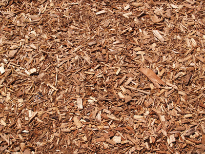 NATURAL CEDAR MULCH
