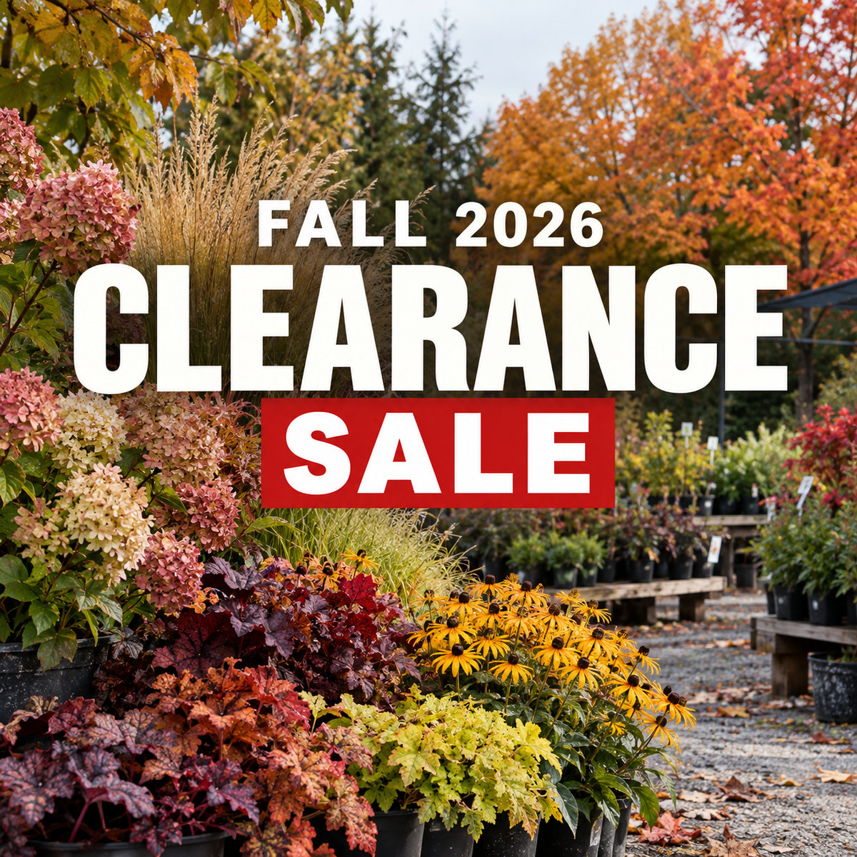 FALL CLEARANCE SALE