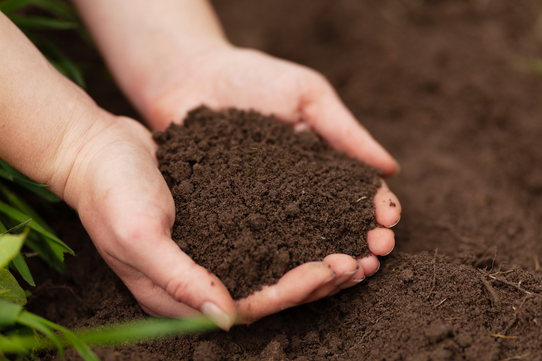 FERTILIZER & SOIL