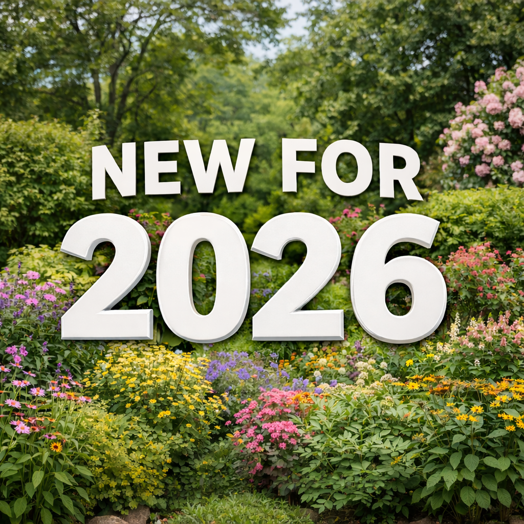 NEW FOR 2026