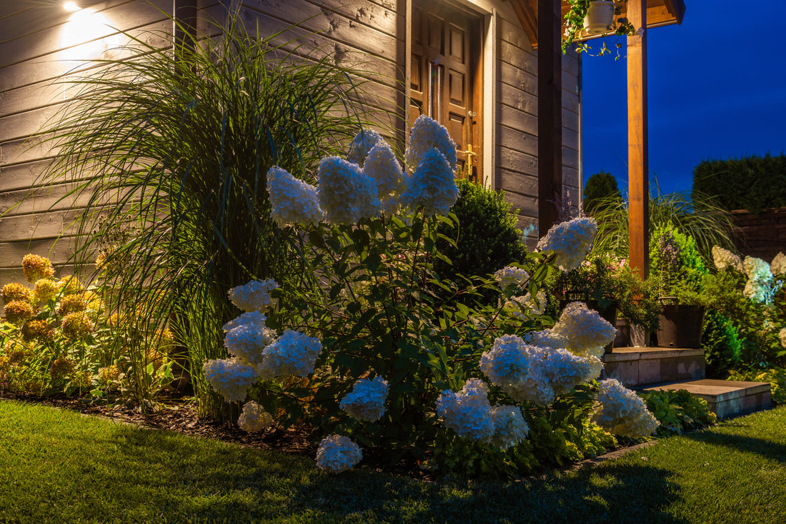 ORNAMENTAL FLOWERING SHRUBS
