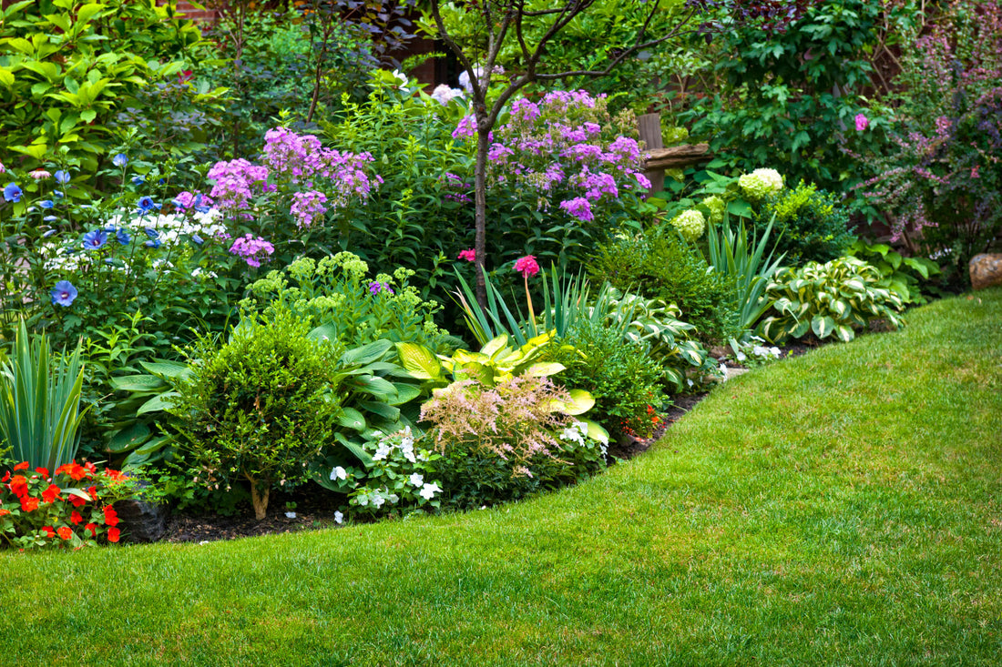 PERENNIALS