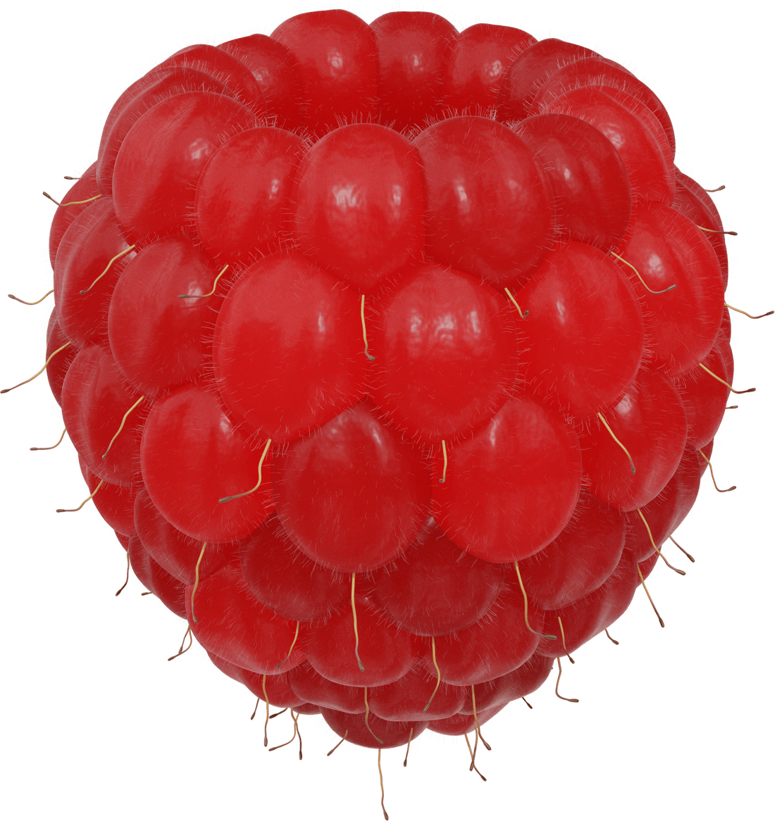 RASPBERRY LATHAM / LATHAM RASPBERRY