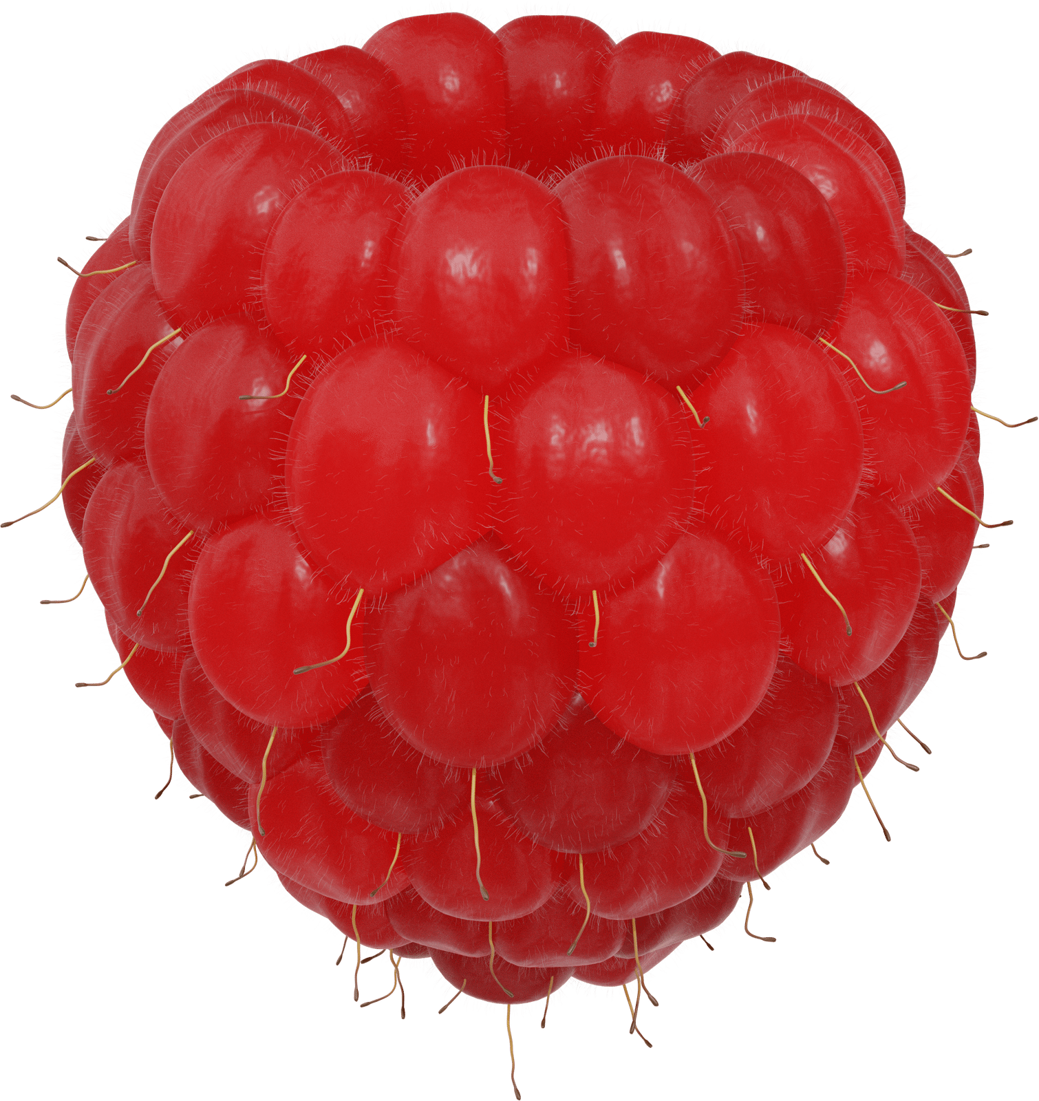 RASPBERRY LATHAM / LATHAM RASPBERRY