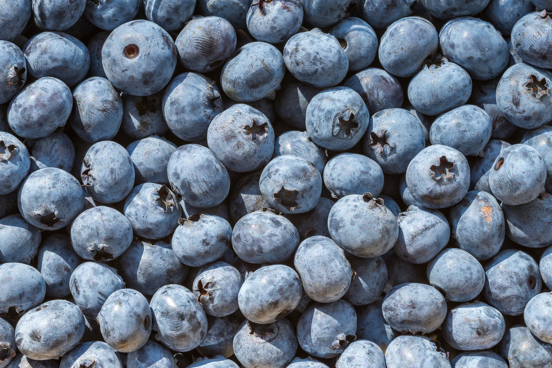 BLUEBERRY &