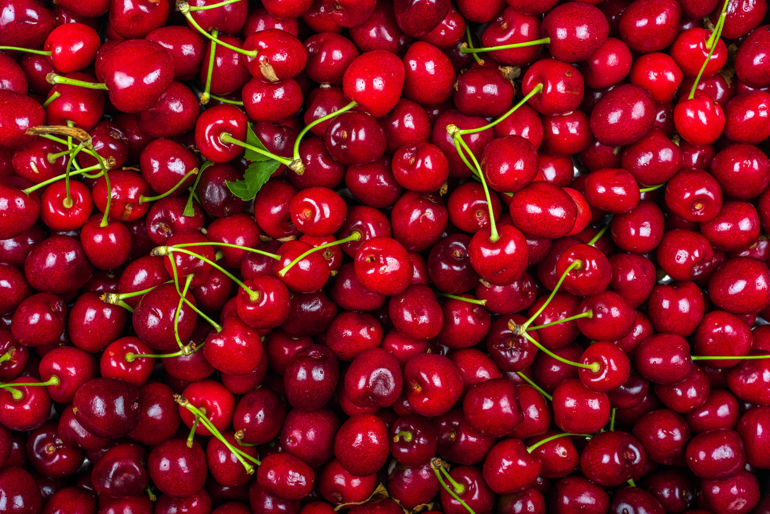 COMBO FRUIT TREE / FRUIT COCKTAIL