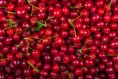COMBO FRUIT TREE / FRUIT COCKTAIL