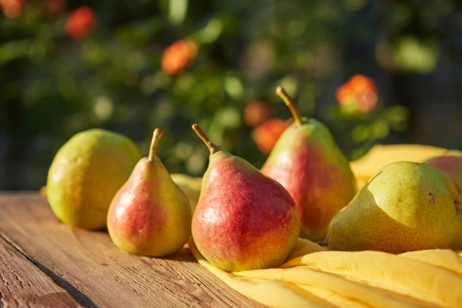PEAR SUMMERCRISP / SUMMERCRISP PEAR