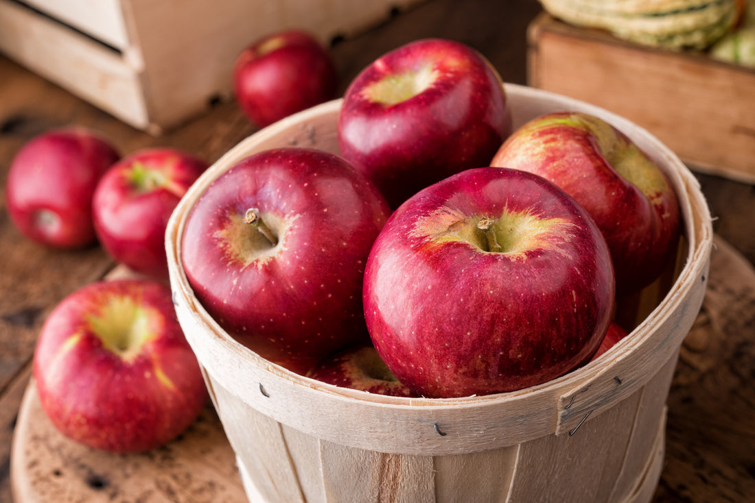 APPLE CORTLAND / CORTLAND APPLE