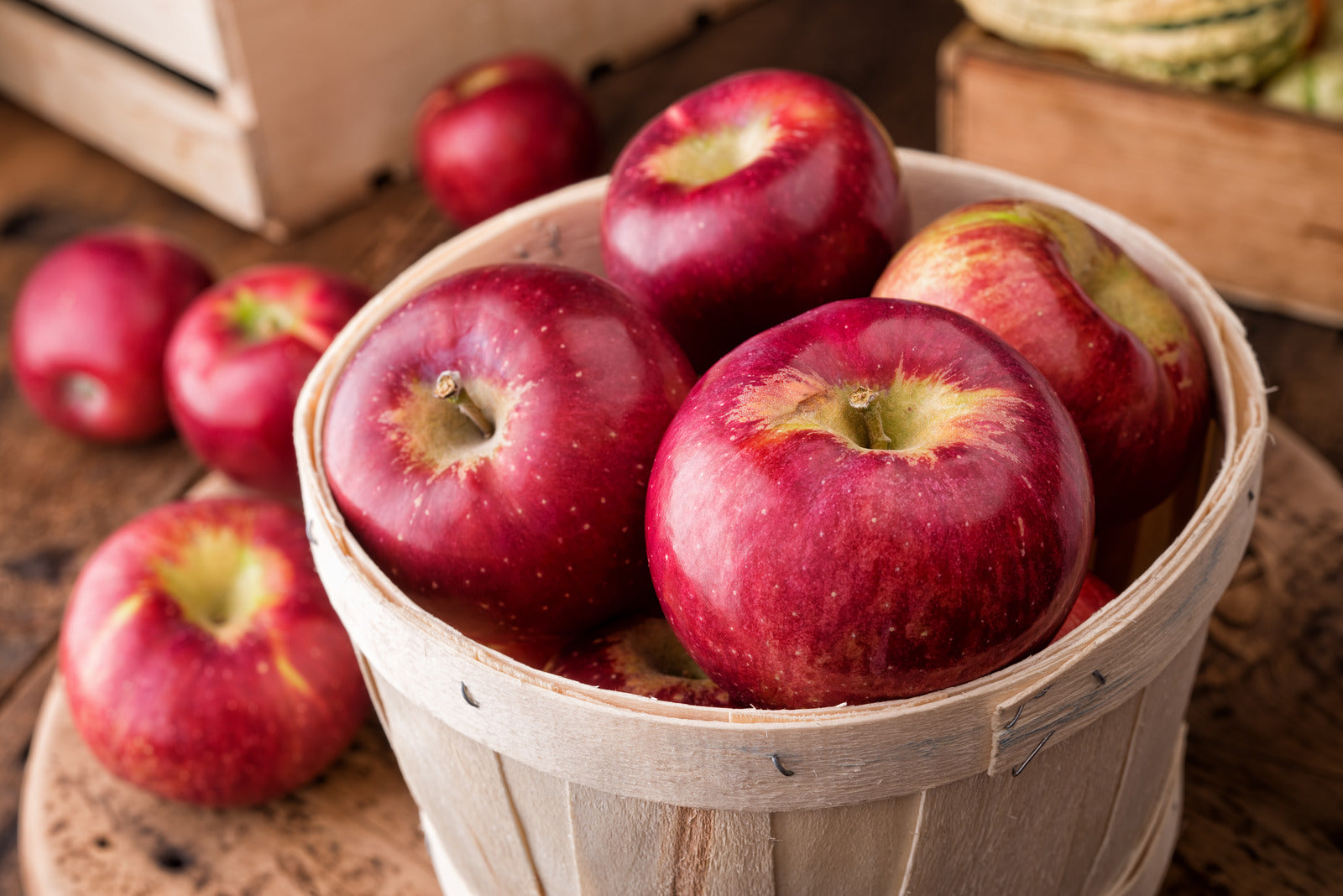 APPLE CORTLAND / CORTLAND APPLE