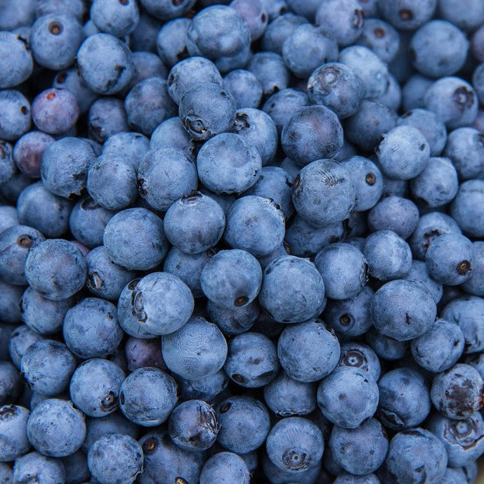 BLUEBERRY MINI BLUES / MINI BLUES BLUEBERRY