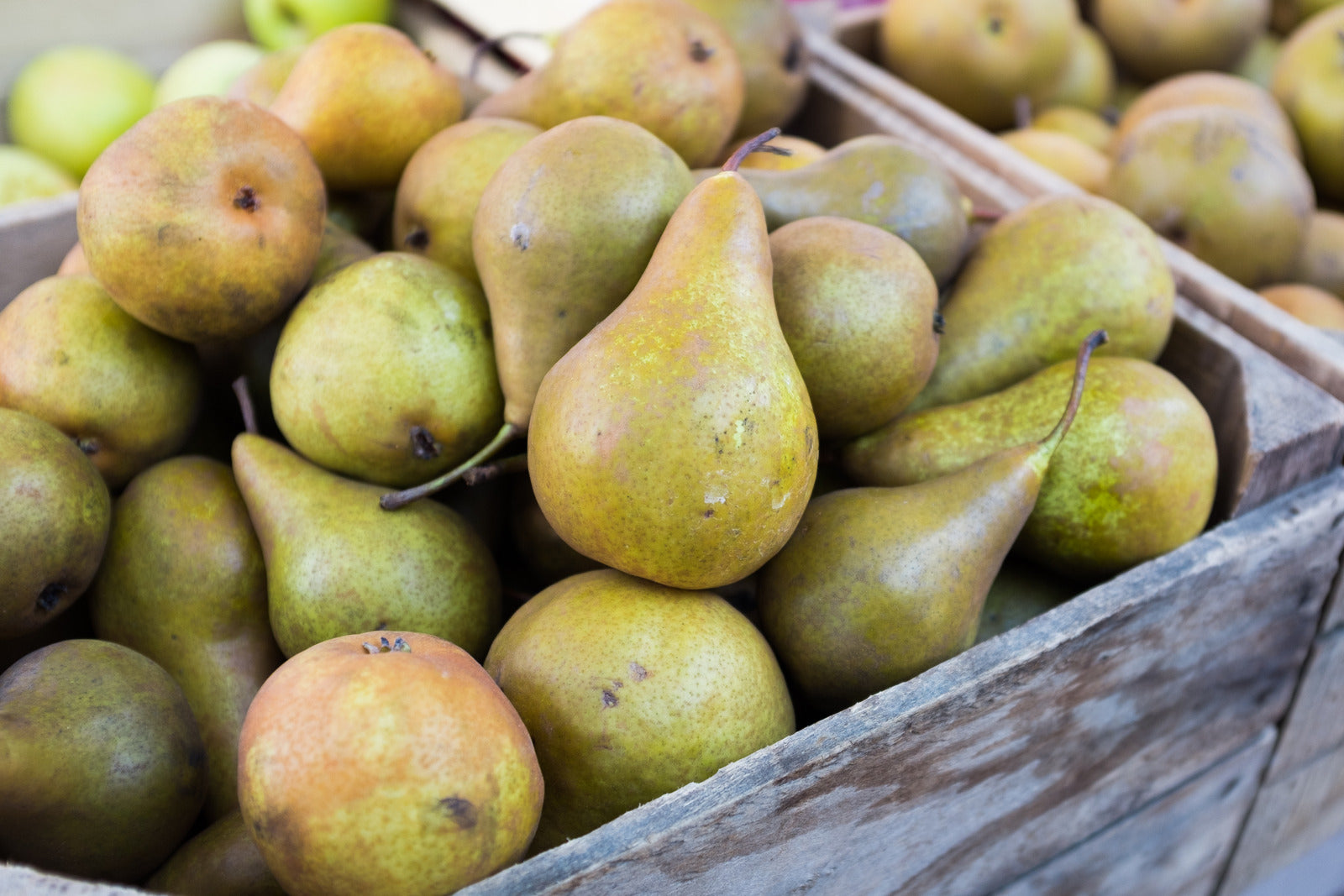 PEAR BARTLETT / BARTLETT PEAR