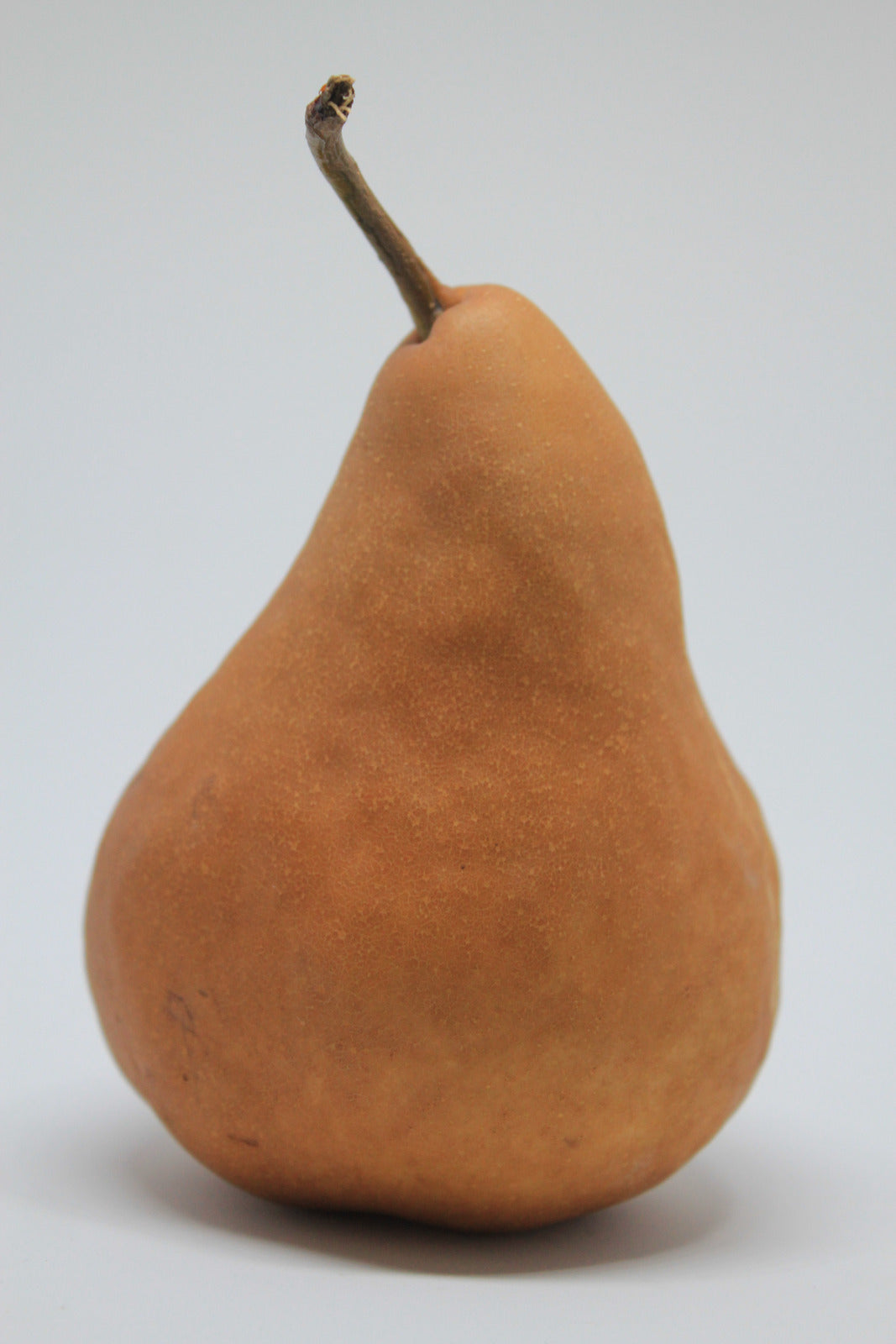 PEAR BOSC / BOSC PEAR